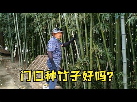睡覺腳對門 家裡可以種竹子嗎